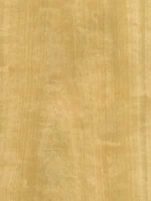 Satinwood veneer